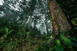 BIB: 
                            <button type="button" onclick="openModal(26209090)" class="btn btn-primary btn-sm float-right btn-popup" data-toggle="modal" data-target=".modal-high-quality">
                        <i class="fas fa-shopping-cart"></i> Add to Cart
                    </button>
                                            <button type="button" onclick="isThisMe(26209090, true)" class="btn btn-success btn-sm float-right btn-popup btn-isme hidden" data-toggle="tooltip" data-placement="bottom" title="นี่คือรูปของคุณใช่ไหม คลิกที่นี่เพื่อเอาเข้าอัลบั้ม">
                        <i class="fas fa-plus"></i> Add to album
                    </button>
                    <button type="button" onclick="isThisMe(26209090, false)" class="btn btn-warning btn-sm float-right btn-popup btn-isnotme hidden">
                        <i class="fas fa-ban"></i> Remove from album
                    </button>