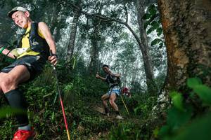 BIB: 
                            <button type="button" onclick="openModal(26209142)" class="btn btn-primary btn-sm float-right btn-popup" data-toggle="modal" data-target=".modal-high-quality">
                        <i class="fas fa-shopping-cart"></i> Add to Cart
                    </button>
                                            <button type="button" onclick="isThisMe(26209142, true)" class="btn btn-success btn-sm float-right btn-popup btn-isme hidden" data-toggle="tooltip" data-placement="bottom" title="นี่คือรูปของคุณใช่ไหม คลิกที่นี่เพื่อเอาเข้าอัลบั้ม">
                        <i class="fas fa-plus"></i> Add to album
                    </button>
                    <button type="button" onclick="isThisMe(26209142, false)" class="btn btn-warning btn-sm float-right btn-popup btn-isnotme hidden">
                        <i class="fas fa-ban"></i> Remove from album
                    </button>