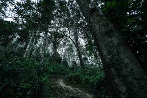 BIB: 
                            <button type="button" onclick="openModal(26209500)" class="btn btn-primary btn-sm float-right btn-popup" data-toggle="modal" data-target=".modal-high-quality">
                        <i class="fas fa-shopping-cart"></i> Add to Cart
                    </button>
                                            <button type="button" onclick="isThisMe(26209500, true)" class="btn btn-success btn-sm float-right btn-popup btn-isme hidden" data-toggle="tooltip" data-placement="bottom" title="นี่คือรูปของคุณใช่ไหม คลิกที่นี่เพื่อเอาเข้าอัลบั้ม">
                        <i class="fas fa-plus"></i> Add to album
                    </button>
                    <button type="button" onclick="isThisMe(26209500, false)" class="btn btn-warning btn-sm float-right btn-popup btn-isnotme hidden">
                        <i class="fas fa-ban"></i> Remove from album
                    </button>