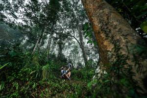 BIB: 
                            <button type="button" onclick="openModal(26208923)" class="btn btn-primary btn-sm float-right btn-popup" data-toggle="modal" data-target=".modal-high-quality">
                        <i class="fas fa-shopping-cart"></i> Add to Cart
                    </button>
                                            <button type="button" onclick="isThisMe(26208923, true)" class="btn btn-success btn-sm float-right btn-popup btn-isme hidden" data-toggle="tooltip" data-placement="bottom" title="นี่คือรูปของคุณใช่ไหม คลิกที่นี่เพื่อเอาเข้าอัลบั้ม">
                        <i class="fas fa-plus"></i> Add to album
                    </button>
                    <button type="button" onclick="isThisMe(26208923, false)" class="btn btn-warning btn-sm float-right btn-popup btn-isnotme hidden">
                        <i class="fas fa-ban"></i> Remove from album
                    </button>