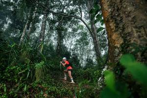 BIB: 
                            <button type="button" onclick="openModal(26209194)" class="btn btn-primary btn-sm float-right btn-popup" data-toggle="modal" data-target=".modal-high-quality">
                        <i class="fas fa-shopping-cart"></i> Add to Cart
                    </button>
                                            <button type="button" onclick="isThisMe(26209194, true)" class="btn btn-success btn-sm float-right btn-popup btn-isme hidden" data-toggle="tooltip" data-placement="bottom" title="นี่คือรูปของคุณใช่ไหม คลิกที่นี่เพื่อเอาเข้าอัลบั้ม">
                        <i class="fas fa-plus"></i> Add to album
                    </button>
                    <button type="button" onclick="isThisMe(26209194, false)" class="btn btn-warning btn-sm float-right btn-popup btn-isnotme hidden">
                        <i class="fas fa-ban"></i> Remove from album
                    </button>