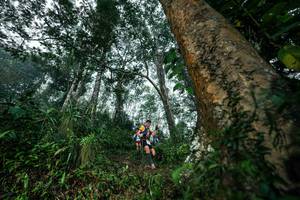 BIB: 
                            <button type="button" onclick="openModal(26208919)" class="btn btn-primary btn-sm float-right btn-popup" data-toggle="modal" data-target=".modal-high-quality">
                        <i class="fas fa-shopping-cart"></i> Add to Cart
                    </button>
                                            <button type="button" onclick="isThisMe(26208919, true)" class="btn btn-success btn-sm float-right btn-popup btn-isme hidden" data-toggle="tooltip" data-placement="bottom" title="นี่คือรูปของคุณใช่ไหม คลิกที่นี่เพื่อเอาเข้าอัลบั้ม">
                        <i class="fas fa-plus"></i> Add to album
                    </button>
                    <button type="button" onclick="isThisMe(26208919, false)" class="btn btn-warning btn-sm float-right btn-popup btn-isnotme hidden">
                        <i class="fas fa-ban"></i> Remove from album
                    </button>