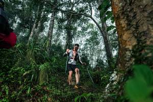 BIB: 
                            <button type="button" onclick="openModal(26208985)" class="btn btn-primary btn-sm float-right btn-popup" data-toggle="modal" data-target=".modal-high-quality">
                        <i class="fas fa-shopping-cart"></i> Add to Cart
                    </button>
                                            <button type="button" onclick="isThisMe(26208985, true)" class="btn btn-success btn-sm float-right btn-popup btn-isme hidden" data-toggle="tooltip" data-placement="bottom" title="นี่คือรูปของคุณใช่ไหม คลิกที่นี่เพื่อเอาเข้าอัลบั้ม">
                        <i class="fas fa-plus"></i> Add to album
                    </button>
                    <button type="button" onclick="isThisMe(26208985, false)" class="btn btn-warning btn-sm float-right btn-popup btn-isnotme hidden">
                        <i class="fas fa-ban"></i> Remove from album
                    </button>