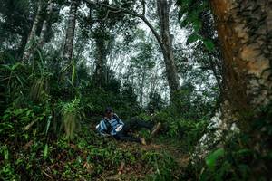 BIB: 
                            <button type="button" onclick="openModal(26209304)" class="btn btn-primary btn-sm float-right btn-popup" data-toggle="modal" data-target=".modal-high-quality">
                        <i class="fas fa-shopping-cart"></i> Add to Cart
                    </button>
                                            <button type="button" onclick="isThisMe(26209304, true)" class="btn btn-success btn-sm float-right btn-popup btn-isme hidden" data-toggle="tooltip" data-placement="bottom" title="นี่คือรูปของคุณใช่ไหม คลิกที่นี่เพื่อเอาเข้าอัลบั้ม">
                        <i class="fas fa-plus"></i> Add to album
                    </button>
                    <button type="button" onclick="isThisMe(26209304, false)" class="btn btn-warning btn-sm float-right btn-popup btn-isnotme hidden">
                        <i class="fas fa-ban"></i> Remove from album
                    </button>