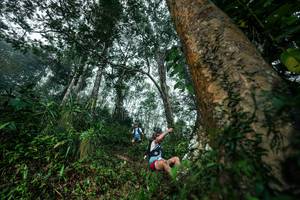 BIB: 
                            <button type="button" onclick="openModal(26208930)" class="btn btn-primary btn-sm float-right btn-popup" data-toggle="modal" data-target=".modal-high-quality">
                        <i class="fas fa-shopping-cart"></i> Add to Cart
                    </button>
                                            <button type="button" onclick="isThisMe(26208930, true)" class="btn btn-success btn-sm float-right btn-popup btn-isme hidden" data-toggle="tooltip" data-placement="bottom" title="นี่คือรูปของคุณใช่ไหม คลิกที่นี่เพื่อเอาเข้าอัลบั้ม">
                        <i class="fas fa-plus"></i> Add to album
                    </button>
                    <button type="button" onclick="isThisMe(26208930, false)" class="btn btn-warning btn-sm float-right btn-popup btn-isnotme hidden">
                        <i class="fas fa-ban"></i> Remove from album
                    </button>