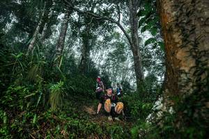 BIB: 
                            <button type="button" onclick="openModal(26209227)" class="btn btn-primary btn-sm float-right btn-popup" data-toggle="modal" data-target=".modal-high-quality">
                        <i class="fas fa-shopping-cart"></i> Add to Cart
                    </button>
                                            <button type="button" onclick="isThisMe(26209227, true)" class="btn btn-success btn-sm float-right btn-popup btn-isme hidden" data-toggle="tooltip" data-placement="bottom" title="นี่คือรูปของคุณใช่ไหม คลิกที่นี่เพื่อเอาเข้าอัลบั้ม">
                        <i class="fas fa-plus"></i> Add to album
                    </button>
                    <button type="button" onclick="isThisMe(26209227, false)" class="btn btn-warning btn-sm float-right btn-popup btn-isnotme hidden">
                        <i class="fas fa-ban"></i> Remove from album
                    </button>