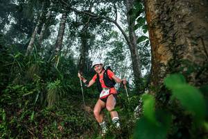 BIB: 
                            <button type="button" onclick="openModal(26209223)" class="btn btn-primary btn-sm float-right btn-popup" data-toggle="modal" data-target=".modal-high-quality">
                        <i class="fas fa-shopping-cart"></i> Add to Cart
                    </button>
                                            <button type="button" onclick="isThisMe(26209223, true)" class="btn btn-success btn-sm float-right btn-popup btn-isme hidden" data-toggle="tooltip" data-placement="bottom" title="นี่คือรูปของคุณใช่ไหม คลิกที่นี่เพื่อเอาเข้าอัลบั้ม">
                        <i class="fas fa-plus"></i> Add to album
                    </button>
                    <button type="button" onclick="isThisMe(26209223, false)" class="btn btn-warning btn-sm float-right btn-popup btn-isnotme hidden">
                        <i class="fas fa-ban"></i> Remove from album
                    </button>