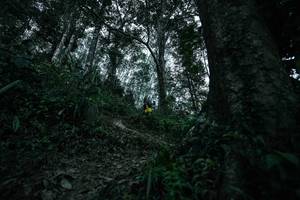 BIB: 
                            <button type="button" onclick="openModal(26209552)" class="btn btn-primary btn-sm float-right btn-popup" data-toggle="modal" data-target=".modal-high-quality">
                        <i class="fas fa-shopping-cart"></i> Add to Cart
                    </button>
                                            <button type="button" onclick="isThisMe(26209552, true)" class="btn btn-success btn-sm float-right btn-popup btn-isme hidden" data-toggle="tooltip" data-placement="bottom" title="นี่คือรูปของคุณใช่ไหม คลิกที่นี่เพื่อเอาเข้าอัลบั้ม">
                        <i class="fas fa-plus"></i> Add to album
                    </button>
                    <button type="button" onclick="isThisMe(26209552, false)" class="btn btn-warning btn-sm float-right btn-popup btn-isnotme hidden">
                        <i class="fas fa-ban"></i> Remove from album
                    </button>