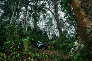 BIB: 
                            <button type="button" onclick="openModal(26209299)" class="btn btn-primary btn-sm float-right btn-popup" data-toggle="modal" data-target=".modal-high-quality">
                        <i class="fas fa-shopping-cart"></i> Add to Cart
                    </button>
                                            <button type="button" onclick="isThisMe(26209299, true)" class="btn btn-success btn-sm float-right btn-popup btn-isme hidden" data-toggle="tooltip" data-placement="bottom" title="นี่คือรูปของคุณใช่ไหม คลิกที่นี่เพื่อเอาเข้าอัลบั้ม">
                        <i class="fas fa-plus"></i> Add to album
                    </button>
                    <button type="button" onclick="isThisMe(26209299, false)" class="btn btn-warning btn-sm float-right btn-popup btn-isnotme hidden">
                        <i class="fas fa-ban"></i> Remove from album
                    </button>