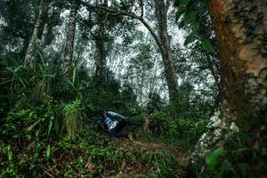 BIB: 
                            <button type="button" onclick="openModal(26209302)" class="btn btn-primary btn-sm float-right btn-popup" data-toggle="modal" data-target=".modal-high-quality">
                        <i class="fas fa-shopping-cart"></i> Add to Cart
                    </button>
                                            <button type="button" onclick="isThisMe(26209302, true)" class="btn btn-success btn-sm float-right btn-popup btn-isme hidden" data-toggle="tooltip" data-placement="bottom" title="นี่คือรูปของคุณใช่ไหม คลิกที่นี่เพื่อเอาเข้าอัลบั้ม">
                        <i class="fas fa-plus"></i> Add to album
                    </button>
                    <button type="button" onclick="isThisMe(26209302, false)" class="btn btn-warning btn-sm float-right btn-popup btn-isnotme hidden">
                        <i class="fas fa-ban"></i> Remove from album
                    </button>