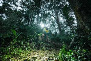 BIB: 
                            <button type="button" onclick="openModal(26209533)" class="btn btn-primary btn-sm float-right btn-popup" data-toggle="modal" data-target=".modal-high-quality">
                        <i class="fas fa-shopping-cart"></i> Add to Cart
                    </button>
                                            <button type="button" onclick="isThisMe(26209533, true)" class="btn btn-success btn-sm float-right btn-popup btn-isme hidden" data-toggle="tooltip" data-placement="bottom" title="นี่คือรูปของคุณใช่ไหม คลิกที่นี่เพื่อเอาเข้าอัลบั้ม">
                        <i class="fas fa-plus"></i> Add to album
                    </button>
                    <button type="button" onclick="isThisMe(26209533, false)" class="btn btn-warning btn-sm float-right btn-popup btn-isnotme hidden">
                        <i class="fas fa-ban"></i> Remove from album
                    </button>