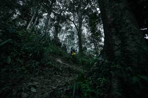 BIB: 
                            <button type="button" onclick="openModal(26209558)" class="btn btn-primary btn-sm float-right btn-popup" data-toggle="modal" data-target=".modal-high-quality">
                        <i class="fas fa-shopping-cart"></i> Add to Cart
                    </button>
                                            <button type="button" onclick="isThisMe(26209558, true)" class="btn btn-success btn-sm float-right btn-popup btn-isme hidden" data-toggle="tooltip" data-placement="bottom" title="นี่คือรูปของคุณใช่ไหม คลิกที่นี่เพื่อเอาเข้าอัลบั้ม">
                        <i class="fas fa-plus"></i> Add to album
                    </button>
                    <button type="button" onclick="isThisMe(26209558, false)" class="btn btn-warning btn-sm float-right btn-popup btn-isnotme hidden">
                        <i class="fas fa-ban"></i> Remove from album
                    </button>