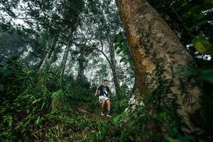 BIB: 
                            <button type="button" onclick="openModal(26208955)" class="btn btn-primary btn-sm float-right btn-popup" data-toggle="modal" data-target=".modal-high-quality">
                        <i class="fas fa-shopping-cart"></i> Add to Cart
                    </button>
                                            <button type="button" onclick="isThisMe(26208955, true)" class="btn btn-success btn-sm float-right btn-popup btn-isme hidden" data-toggle="tooltip" data-placement="bottom" title="นี่คือรูปของคุณใช่ไหม คลิกที่นี่เพื่อเอาเข้าอัลบั้ม">
                        <i class="fas fa-plus"></i> Add to album
                    </button>
                    <button type="button" onclick="isThisMe(26208955, false)" class="btn btn-warning btn-sm float-right btn-popup btn-isnotme hidden">
                        <i class="fas fa-ban"></i> Remove from album
                    </button>