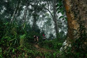 BIB: 
                            <button type="button" onclick="openModal(26209222)" class="btn btn-primary btn-sm float-right btn-popup" data-toggle="modal" data-target=".modal-high-quality">
                        <i class="fas fa-shopping-cart"></i> Add to Cart
                    </button>
                                            <button type="button" onclick="isThisMe(26209222, true)" class="btn btn-success btn-sm float-right btn-popup btn-isme hidden" data-toggle="tooltip" data-placement="bottom" title="นี่คือรูปของคุณใช่ไหม คลิกที่นี่เพื่อเอาเข้าอัลบั้ม">
                        <i class="fas fa-plus"></i> Add to album
                    </button>
                    <button type="button" onclick="isThisMe(26209222, false)" class="btn btn-warning btn-sm float-right btn-popup btn-isnotme hidden">
                        <i class="fas fa-ban"></i> Remove from album
                    </button>