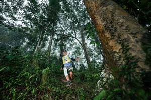 BIB: 
                            <button type="button" onclick="openModal(26208957)" class="btn btn-primary btn-sm float-right btn-popup" data-toggle="modal" data-target=".modal-high-quality">
                        <i class="fas fa-shopping-cart"></i> Add to Cart
                    </button>
                                            <button type="button" onclick="isThisMe(26208957, true)" class="btn btn-success btn-sm float-right btn-popup btn-isme hidden" data-toggle="tooltip" data-placement="bottom" title="นี่คือรูปของคุณใช่ไหม คลิกที่นี่เพื่อเอาเข้าอัลบั้ม">
                        <i class="fas fa-plus"></i> Add to album
                    </button>
                    <button type="button" onclick="isThisMe(26208957, false)" class="btn btn-warning btn-sm float-right btn-popup btn-isnotme hidden">
                        <i class="fas fa-ban"></i> Remove from album
                    </button>