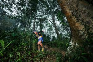 BIB: 
                            <button type="button" onclick="openModal(26209378)" class="btn btn-primary btn-sm float-right btn-popup" data-toggle="modal" data-target=".modal-high-quality">
                        <i class="fas fa-shopping-cart"></i> Add to Cart
                    </button>
                                            <button type="button" onclick="isThisMe(26209378, true)" class="btn btn-success btn-sm float-right btn-popup btn-isme hidden" data-toggle="tooltip" data-placement="bottom" title="นี่คือรูปของคุณใช่ไหม คลิกที่นี่เพื่อเอาเข้าอัลบั้ม">
                        <i class="fas fa-plus"></i> Add to album
                    </button>
                    <button type="button" onclick="isThisMe(26209378, false)" class="btn btn-warning btn-sm float-right btn-popup btn-isnotme hidden">
                        <i class="fas fa-ban"></i> Remove from album
                    </button>