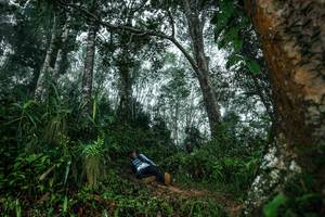 BIB: 
                            <button type="button" onclick="openModal(26209300)" class="btn btn-primary btn-sm float-right btn-popup" data-toggle="modal" data-target=".modal-high-quality">
                        <i class="fas fa-shopping-cart"></i> Add to Cart
                    </button>
                                            <button type="button" onclick="isThisMe(26209300, true)" class="btn btn-success btn-sm float-right btn-popup btn-isme hidden" data-toggle="tooltip" data-placement="bottom" title="นี่คือรูปของคุณใช่ไหม คลิกที่นี่เพื่อเอาเข้าอัลบั้ม">
                        <i class="fas fa-plus"></i> Add to album
                    </button>
                    <button type="button" onclick="isThisMe(26209300, false)" class="btn btn-warning btn-sm float-right btn-popup btn-isnotme hidden">
                        <i class="fas fa-ban"></i> Remove from album
                    </button>