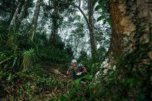 BIB: 
                            <button type="button" onclick="openModal(26209285)" class="btn btn-primary btn-sm float-right btn-popup" data-toggle="modal" data-target=".modal-high-quality">
                        <i class="fas fa-shopping-cart"></i> Add to Cart
                    </button>
                                            <button type="button" onclick="isThisMe(26209285, true)" class="btn btn-success btn-sm float-right btn-popup btn-isme hidden" data-toggle="tooltip" data-placement="bottom" title="นี่คือรูปของคุณใช่ไหม คลิกที่นี่เพื่อเอาเข้าอัลบั้ม">
                        <i class="fas fa-plus"></i> Add to album
                    </button>
                    <button type="button" onclick="isThisMe(26209285, false)" class="btn btn-warning btn-sm float-right btn-popup btn-isnotme hidden">
                        <i class="fas fa-ban"></i> Remove from album
                    </button>