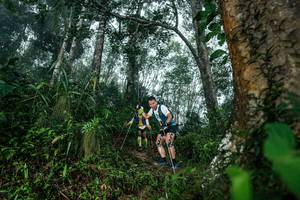 BIB: 
                            <button type="button" onclick="openModal(26209031)" class="btn btn-primary btn-sm float-right btn-popup" data-toggle="modal" data-target=".modal-high-quality">
                        <i class="fas fa-shopping-cart"></i> Add to Cart
                    </button>
                                            <button type="button" onclick="isThisMe(26209031, true)" class="btn btn-success btn-sm float-right btn-popup btn-isme hidden" data-toggle="tooltip" data-placement="bottom" title="นี่คือรูปของคุณใช่ไหม คลิกที่นี่เพื่อเอาเข้าอัลบั้ม">
                        <i class="fas fa-plus"></i> Add to album
                    </button>
                    <button type="button" onclick="isThisMe(26209031, false)" class="btn btn-warning btn-sm float-right btn-popup btn-isnotme hidden">
                        <i class="fas fa-ban"></i> Remove from album
                    </button>