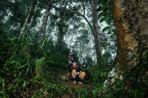 BIB: 
                            <button type="button" onclick="openModal(26209219)" class="btn btn-primary btn-sm float-right btn-popup" data-toggle="modal" data-target=".modal-high-quality">
                        <i class="fas fa-shopping-cart"></i> Add to Cart
                    </button>
                                            <button type="button" onclick="isThisMe(26209219, true)" class="btn btn-success btn-sm float-right btn-popup btn-isme hidden" data-toggle="tooltip" data-placement="bottom" title="นี่คือรูปของคุณใช่ไหม คลิกที่นี่เพื่อเอาเข้าอัลบั้ม">
                        <i class="fas fa-plus"></i> Add to album
                    </button>
                    <button type="button" onclick="isThisMe(26209219, false)" class="btn btn-warning btn-sm float-right btn-popup btn-isnotme hidden">
                        <i class="fas fa-ban"></i> Remove from album
                    </button>