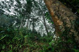 BIB: 
                            <button type="button" onclick="openModal(26208903)" class="btn btn-primary btn-sm float-right btn-popup" data-toggle="modal" data-target=".modal-high-quality">
                        <i class="fas fa-shopping-cart"></i> Add to Cart
                    </button>
                                            <button type="button" onclick="isThisMe(26208903, true)" class="btn btn-success btn-sm float-right btn-popup btn-isme hidden" data-toggle="tooltip" data-placement="bottom" title="นี่คือรูปของคุณใช่ไหม คลิกที่นี่เพื่อเอาเข้าอัลบั้ม">
                        <i class="fas fa-plus"></i> Add to album
                    </button>
                    <button type="button" onclick="isThisMe(26208903, false)" class="btn btn-warning btn-sm float-right btn-popup btn-isnotme hidden">
                        <i class="fas fa-ban"></i> Remove from album
                    </button>