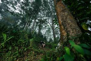 BIB: 
                            <button type="button" onclick="openModal(26209092)" class="btn btn-primary btn-sm float-right btn-popup" data-toggle="modal" data-target=".modal-high-quality">
                        <i class="fas fa-shopping-cart"></i> Add to Cart
                    </button>
                                            <button type="button" onclick="isThisMe(26209092, true)" class="btn btn-success btn-sm float-right btn-popup btn-isme hidden" data-toggle="tooltip" data-placement="bottom" title="นี่คือรูปของคุณใช่ไหม คลิกที่นี่เพื่อเอาเข้าอัลบั้ม">
                        <i class="fas fa-plus"></i> Add to album
                    </button>
                    <button type="button" onclick="isThisMe(26209092, false)" class="btn btn-warning btn-sm float-right btn-popup btn-isnotme hidden">
                        <i class="fas fa-ban"></i> Remove from album
                    </button>