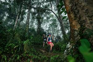 BIB: 
                            <button type="button" onclick="openModal(26209009)" class="btn btn-primary btn-sm float-right btn-popup" data-toggle="modal" data-target=".modal-high-quality">
                        <i class="fas fa-shopping-cart"></i> Add to Cart
                    </button>
                                            <button type="button" onclick="isThisMe(26209009, true)" class="btn btn-success btn-sm float-right btn-popup btn-isme hidden" data-toggle="tooltip" data-placement="bottom" title="นี่คือรูปของคุณใช่ไหม คลิกที่นี่เพื่อเอาเข้าอัลบั้ม">
                        <i class="fas fa-plus"></i> Add to album
                    </button>
                    <button type="button" onclick="isThisMe(26209009, false)" class="btn btn-warning btn-sm float-right btn-popup btn-isnotme hidden">
                        <i class="fas fa-ban"></i> Remove from album
                    </button>