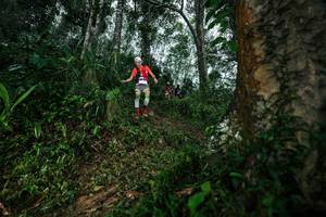 BIB: 
                            <button type="button" onclick="openModal(26208791)" class="btn btn-primary btn-sm float-right btn-popup" data-toggle="modal" data-target=".modal-high-quality">
                        <i class="fas fa-shopping-cart"></i> Add to Cart
                    </button>
                                            <button type="button" onclick="isThisMe(26208791, true)" class="btn btn-success btn-sm float-right btn-popup btn-isme hidden" data-toggle="tooltip" data-placement="bottom" title="นี่คือรูปของคุณใช่ไหม คลิกที่นี่เพื่อเอาเข้าอัลบั้ม">
                        <i class="fas fa-plus"></i> Add to album
                    </button>
                    <button type="button" onclick="isThisMe(26208791, false)" class="btn btn-warning btn-sm float-right btn-popup btn-isnotme hidden">
                        <i class="fas fa-ban"></i> Remove from album
                    </button>