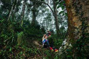 BIB: 
                            <button type="button" onclick="openModal(26209337)" class="btn btn-primary btn-sm float-right btn-popup" data-toggle="modal" data-target=".modal-high-quality">
                        <i class="fas fa-shopping-cart"></i> Add to Cart
                    </button>
                                            <button type="button" onclick="isThisMe(26209337, true)" class="btn btn-success btn-sm float-right btn-popup btn-isme hidden" data-toggle="tooltip" data-placement="bottom" title="นี่คือรูปของคุณใช่ไหม คลิกที่นี่เพื่อเอาเข้าอัลบั้ม">
                        <i class="fas fa-plus"></i> Add to album
                    </button>
                    <button type="button" onclick="isThisMe(26209337, false)" class="btn btn-warning btn-sm float-right btn-popup btn-isnotme hidden">
                        <i class="fas fa-ban"></i> Remove from album
                    </button>