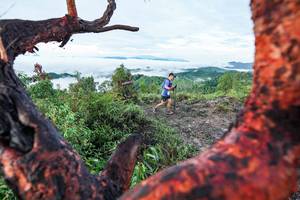 BIB: 
                            <button type="button" onclick="openModal(26372243)" class="btn btn-primary btn-sm float-right btn-popup" data-toggle="modal" data-target=".modal-high-quality">
                        <i class="fas fa-shopping-cart"></i> Add to Cart
                    </button>
                                            <button type="button" onclick="isThisMe(26372243, true)" class="btn btn-success btn-sm float-right btn-popup btn-isme hidden" data-toggle="tooltip" data-placement="bottom" title="นี่คือรูปของคุณใช่ไหม คลิกที่นี่เพื่อเอาเข้าอัลบั้ม">
                        <i class="fas fa-plus"></i> Add to album
                    </button>
                    <button type="button" onclick="isThisMe(26372243, false)" class="btn btn-warning btn-sm float-right btn-popup btn-isnotme hidden">
                        <i class="fas fa-ban"></i> Remove from album
                    </button>