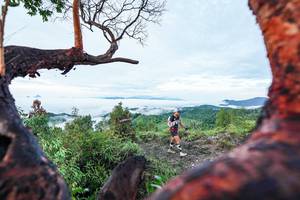 BIB: 
                            <button type="button" onclick="openModal(26372141)" class="btn btn-primary btn-sm float-right btn-popup" data-toggle="modal" data-target=".modal-high-quality">
                        <i class="fas fa-shopping-cart"></i> Add to Cart
                    </button>
                                            <button type="button" onclick="isThisMe(26372141, true)" class="btn btn-success btn-sm float-right btn-popup btn-isme hidden" data-toggle="tooltip" data-placement="bottom" title="นี่คือรูปของคุณใช่ไหม คลิกที่นี่เพื่อเอาเข้าอัลบั้ม">
                        <i class="fas fa-plus"></i> Add to album
                    </button>
                    <button type="button" onclick="isThisMe(26372141, false)" class="btn btn-warning btn-sm float-right btn-popup btn-isnotme hidden">
                        <i class="fas fa-ban"></i> Remove from album
                    </button>