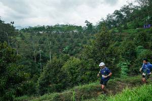 BIB: 
                            <button type="button" onclick="openModal(26395359)" class="btn btn-primary btn-sm float-right btn-popup" data-toggle="modal" data-target=".modal-high-quality">
                        <i class="fas fa-shopping-cart"></i> Add to Cart
                    </button>
                                            <button type="button" onclick="isThisMe(26395359, true)" class="btn btn-success btn-sm float-right btn-popup btn-isme hidden" data-toggle="tooltip" data-placement="bottom" title="นี่คือรูปของคุณใช่ไหม คลิกที่นี่เพื่อเอาเข้าอัลบั้ม">
                        <i class="fas fa-plus"></i> Add to album
                    </button>
                    <button type="button" onclick="isThisMe(26395359, false)" class="btn btn-warning btn-sm float-right btn-popup btn-isnotme hidden">
                        <i class="fas fa-ban"></i> Remove from album
                    </button>