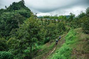 BIB: 
                            <button type="button" onclick="openModal(26396596)" class="btn btn-primary btn-sm float-right btn-popup" data-toggle="modal" data-target=".modal-high-quality">
                        <i class="fas fa-shopping-cart"></i> Add to Cart
                    </button>
                                            <button type="button" onclick="isThisMe(26396596, true)" class="btn btn-success btn-sm float-right btn-popup btn-isme hidden" data-toggle="tooltip" data-placement="bottom" title="นี่คือรูปของคุณใช่ไหม คลิกที่นี่เพื่อเอาเข้าอัลบั้ม">
                        <i class="fas fa-plus"></i> Add to album
                    </button>
                    <button type="button" onclick="isThisMe(26396596, false)" class="btn btn-warning btn-sm float-right btn-popup btn-isnotme hidden">
                        <i class="fas fa-ban"></i> Remove from album
                    </button>