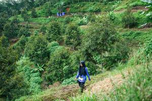 BIB: 
                            <button type="button" onclick="openModal(26401858)" class="btn btn-primary btn-sm float-right btn-popup" data-toggle="modal" data-target=".modal-high-quality">
                        <i class="fas fa-shopping-cart"></i> Add to Cart
                    </button>
                                            <button type="button" onclick="isThisMe(26401858, true)" class="btn btn-success btn-sm float-right btn-popup btn-isme hidden" data-toggle="tooltip" data-placement="bottom" title="นี่คือรูปของคุณใช่ไหม คลิกที่นี่เพื่อเอาเข้าอัลบั้ม">
                        <i class="fas fa-plus"></i> Add to album
                    </button>
                    <button type="button" onclick="isThisMe(26401858, false)" class="btn btn-warning btn-sm float-right btn-popup btn-isnotme hidden">
                        <i class="fas fa-ban"></i> Remove from album
                    </button>