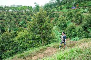 BIB: 
                            <button type="button" onclick="openModal(26397422)" class="btn btn-primary btn-sm float-right btn-popup" data-toggle="modal" data-target=".modal-high-quality">
                        <i class="fas fa-shopping-cart"></i> Add to Cart
                    </button>
                                            <button type="button" onclick="isThisMe(26397422, true)" class="btn btn-success btn-sm float-right btn-popup btn-isme hidden" data-toggle="tooltip" data-placement="bottom" title="นี่คือรูปของคุณใช่ไหม คลิกที่นี่เพื่อเอาเข้าอัลบั้ม">
                        <i class="fas fa-plus"></i> Add to album
                    </button>
                    <button type="button" onclick="isThisMe(26397422, false)" class="btn btn-warning btn-sm float-right btn-popup btn-isnotme hidden">
                        <i class="fas fa-ban"></i> Remove from album
                    </button>