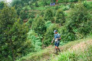 BIB: 
                            <button type="button" onclick="openModal(26401824)" class="btn btn-primary btn-sm float-right btn-popup" data-toggle="modal" data-target=".modal-high-quality">
                        <i class="fas fa-shopping-cart"></i> Add to Cart
                    </button>
                                            <button type="button" onclick="isThisMe(26401824, true)" class="btn btn-success btn-sm float-right btn-popup btn-isme hidden" data-toggle="tooltip" data-placement="bottom" title="นี่คือรูปของคุณใช่ไหม คลิกที่นี่เพื่อเอาเข้าอัลบั้ม">
                        <i class="fas fa-plus"></i> Add to album
                    </button>
                    <button type="button" onclick="isThisMe(26401824, false)" class="btn btn-warning btn-sm float-right btn-popup btn-isnotme hidden">
                        <i class="fas fa-ban"></i> Remove from album
                    </button>