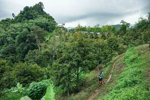 BIB: 
                            <button type="button" onclick="openModal(26396484)" class="btn btn-primary btn-sm float-right btn-popup" data-toggle="modal" data-target=".modal-high-quality">
                        <i class="fas fa-shopping-cart"></i> Add to Cart
                    </button>
                                            <button type="button" onclick="isThisMe(26396484, true)" class="btn btn-success btn-sm float-right btn-popup btn-isme hidden" data-toggle="tooltip" data-placement="bottom" title="นี่คือรูปของคุณใช่ไหม คลิกที่นี่เพื่อเอาเข้าอัลบั้ม">
                        <i class="fas fa-plus"></i> Add to album
                    </button>
                    <button type="button" onclick="isThisMe(26396484, false)" class="btn btn-warning btn-sm float-right btn-popup btn-isnotme hidden">
                        <i class="fas fa-ban"></i> Remove from album
                    </button>