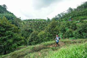 BIB: 
                            <button type="button" onclick="openModal(26394944)" class="btn btn-primary btn-sm float-right btn-popup" data-toggle="modal" data-target=".modal-high-quality">
                        <i class="fas fa-shopping-cart"></i> Add to Cart
                    </button>
                                            <button type="button" onclick="isThisMe(26394944, true)" class="btn btn-success btn-sm float-right btn-popup btn-isme hidden" data-toggle="tooltip" data-placement="bottom" title="นี่คือรูปของคุณใช่ไหม คลิกที่นี่เพื่อเอาเข้าอัลบั้ม">
                        <i class="fas fa-plus"></i> Add to album
                    </button>
                    <button type="button" onclick="isThisMe(26394944, false)" class="btn btn-warning btn-sm float-right btn-popup btn-isnotme hidden">
                        <i class="fas fa-ban"></i> Remove from album
                    </button>