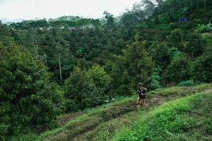 BIB: 
                            <button type="button" onclick="openModal(26396879)" class="btn btn-primary btn-sm float-right btn-popup" data-toggle="modal" data-target=".modal-high-quality">
                        <i class="fas fa-shopping-cart"></i> Add to Cart
                    </button>
                                            <button type="button" onclick="isThisMe(26396879, true)" class="btn btn-success btn-sm float-right btn-popup btn-isme hidden" data-toggle="tooltip" data-placement="bottom" title="นี่คือรูปของคุณใช่ไหม คลิกที่นี่เพื่อเอาเข้าอัลบั้ม">
                        <i class="fas fa-plus"></i> Add to album
                    </button>
                    <button type="button" onclick="isThisMe(26396879, false)" class="btn btn-warning btn-sm float-right btn-popup btn-isnotme hidden">
                        <i class="fas fa-ban"></i> Remove from album
                    </button>