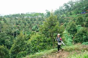 BIB: 
                            <button type="button" onclick="openModal(26397842)" class="btn btn-primary btn-sm float-right btn-popup" data-toggle="modal" data-target=".modal-high-quality">
                        <i class="fas fa-shopping-cart"></i> Add to Cart
                    </button>
                                            <button type="button" onclick="isThisMe(26397842, true)" class="btn btn-success btn-sm float-right btn-popup btn-isme hidden" data-toggle="tooltip" data-placement="bottom" title="นี่คือรูปของคุณใช่ไหม คลิกที่นี่เพื่อเอาเข้าอัลบั้ม">
                        <i class="fas fa-plus"></i> Add to album
                    </button>
                    <button type="button" onclick="isThisMe(26397842, false)" class="btn btn-warning btn-sm float-right btn-popup btn-isnotme hidden">
                        <i class="fas fa-ban"></i> Remove from album
                    </button>