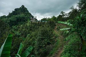 BIB: 
                            <button type="button" onclick="openModal(26396715)" class="btn btn-primary btn-sm float-right btn-popup" data-toggle="modal" data-target=".modal-high-quality">
                        <i class="fas fa-shopping-cart"></i> Add to Cart
                    </button>
                                            <button type="button" onclick="isThisMe(26396715, true)" class="btn btn-success btn-sm float-right btn-popup btn-isme hidden" data-toggle="tooltip" data-placement="bottom" title="นี่คือรูปของคุณใช่ไหม คลิกที่นี่เพื่อเอาเข้าอัลบั้ม">
                        <i class="fas fa-plus"></i> Add to album
                    </button>
                    <button type="button" onclick="isThisMe(26396715, false)" class="btn btn-warning btn-sm float-right btn-popup btn-isnotme hidden">
                        <i class="fas fa-ban"></i> Remove from album
                    </button>