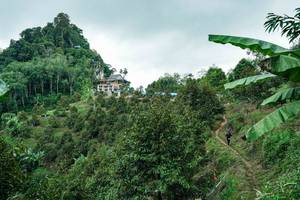 BIB: 
                            <button type="button" onclick="openModal(26396809)" class="btn btn-primary btn-sm float-right btn-popup" data-toggle="modal" data-target=".modal-high-quality">
                        <i class="fas fa-shopping-cart"></i> Add to Cart
                    </button>
                                            <button type="button" onclick="isThisMe(26396809, true)" class="btn btn-success btn-sm float-right btn-popup btn-isme hidden" data-toggle="tooltip" data-placement="bottom" title="นี่คือรูปของคุณใช่ไหม คลิกที่นี่เพื่อเอาเข้าอัลบั้ม">
                        <i class="fas fa-plus"></i> Add to album
                    </button>
                    <button type="button" onclick="isThisMe(26396809, false)" class="btn btn-warning btn-sm float-right btn-popup btn-isnotme hidden">
                        <i class="fas fa-ban"></i> Remove from album
                    </button>