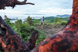 BIB: 
                            <button type="button" onclick="openModal(26372153)" class="btn btn-primary btn-sm float-right btn-popup" data-toggle="modal" data-target=".modal-high-quality">
                        <i class="fas fa-shopping-cart"></i> Add to Cart
                    </button>
                                            <button type="button" onclick="isThisMe(26372153, true)" class="btn btn-success btn-sm float-right btn-popup btn-isme hidden" data-toggle="tooltip" data-placement="bottom" title="นี่คือรูปของคุณใช่ไหม คลิกที่นี่เพื่อเอาเข้าอัลบั้ม">
                        <i class="fas fa-plus"></i> Add to album
                    </button>
                    <button type="button" onclick="isThisMe(26372153, false)" class="btn btn-warning btn-sm float-right btn-popup btn-isnotme hidden">
                        <i class="fas fa-ban"></i> Remove from album
                    </button>