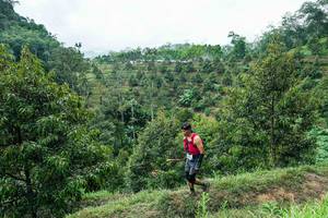 BIB: 
                            <button type="button" onclick="openModal(26395470)" class="btn btn-primary btn-sm float-right btn-popup" data-toggle="modal" data-target=".modal-high-quality">
                        <i class="fas fa-shopping-cart"></i> Add to Cart
                    </button>
                                            <button type="button" onclick="isThisMe(26395470, true)" class="btn btn-success btn-sm float-right btn-popup btn-isme hidden" data-toggle="tooltip" data-placement="bottom" title="นี่คือรูปของคุณใช่ไหม คลิกที่นี่เพื่อเอาเข้าอัลบั้ม">
                        <i class="fas fa-plus"></i> Add to album
                    </button>
                    <button type="button" onclick="isThisMe(26395470, false)" class="btn btn-warning btn-sm float-right btn-popup btn-isnotme hidden">
                        <i class="fas fa-ban"></i> Remove from album
                    </button>