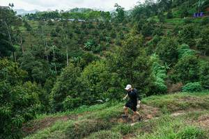 BIB: 
                            <button type="button" onclick="openModal(26394899)" class="btn btn-primary btn-sm float-right btn-popup" data-toggle="modal" data-target=".modal-high-quality">
                        <i class="fas fa-shopping-cart"></i> Add to Cart
                    </button>
                                            <button type="button" onclick="isThisMe(26394899, true)" class="btn btn-success btn-sm float-right btn-popup btn-isme hidden" data-toggle="tooltip" data-placement="bottom" title="นี่คือรูปของคุณใช่ไหม คลิกที่นี่เพื่อเอาเข้าอัลบั้ม">
                        <i class="fas fa-plus"></i> Add to album
                    </button>
                    <button type="button" onclick="isThisMe(26394899, false)" class="btn btn-warning btn-sm float-right btn-popup btn-isnotme hidden">
                        <i class="fas fa-ban"></i> Remove from album
                    </button>