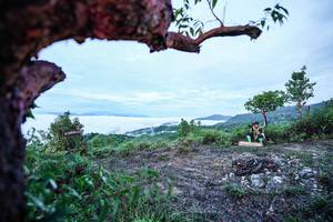 BIB: 
                            <button type="button" onclick="openModal(26372020)" class="btn btn-primary btn-sm float-right btn-popup" data-toggle="modal" data-target=".modal-high-quality">
                        <i class="fas fa-shopping-cart"></i> Add to Cart
                    </button>
                                            <button type="button" onclick="isThisMe(26372020, true)" class="btn btn-success btn-sm float-right btn-popup btn-isme hidden" data-toggle="tooltip" data-placement="bottom" title="นี่คือรูปของคุณใช่ไหม คลิกที่นี่เพื่อเอาเข้าอัลบั้ม">
                        <i class="fas fa-plus"></i> Add to album
                    </button>
                    <button type="button" onclick="isThisMe(26372020, false)" class="btn btn-warning btn-sm float-right btn-popup btn-isnotme hidden">
                        <i class="fas fa-ban"></i> Remove from album
                    </button>