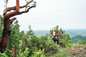 BIB: 
                            <button type="button" onclick="openModal(26394021)" class="btn btn-primary btn-sm float-right btn-popup" data-toggle="modal" data-target=".modal-high-quality">
                        <i class="fas fa-shopping-cart"></i> Add to Cart
                    </button>
                                            <button type="button" onclick="isThisMe(26394021, true)" class="btn btn-success btn-sm float-right btn-popup btn-isme hidden" data-toggle="tooltip" data-placement="bottom" title="นี่คือรูปของคุณใช่ไหม คลิกที่นี่เพื่อเอาเข้าอัลบั้ม">
                        <i class="fas fa-plus"></i> Add to album
                    </button>
                    <button type="button" onclick="isThisMe(26394021, false)" class="btn btn-warning btn-sm float-right btn-popup btn-isnotme hidden">
                        <i class="fas fa-ban"></i> Remove from album
                    </button>