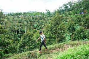 BIB: 
                            <button type="button" onclick="openModal(26395071)" class="btn btn-primary btn-sm float-right btn-popup" data-toggle="modal" data-target=".modal-high-quality">
                        <i class="fas fa-shopping-cart"></i> Add to Cart
                    </button>
                                            <button type="button" onclick="isThisMe(26395071, true)" class="btn btn-success btn-sm float-right btn-popup btn-isme hidden" data-toggle="tooltip" data-placement="bottom" title="นี่คือรูปของคุณใช่ไหม คลิกที่นี่เพื่อเอาเข้าอัลบั้ม">
                        <i class="fas fa-plus"></i> Add to album
                    </button>
                    <button type="button" onclick="isThisMe(26395071, false)" class="btn btn-warning btn-sm float-right btn-popup btn-isnotme hidden">
                        <i class="fas fa-ban"></i> Remove from album
                    </button>