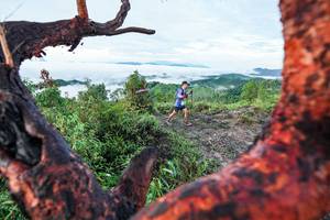 BIB: 
                            <button type="button" onclick="openModal(26372240)" class="btn btn-primary btn-sm float-right btn-popup" data-toggle="modal" data-target=".modal-high-quality">
                        <i class="fas fa-shopping-cart"></i> Add to Cart
                    </button>
                                            <button type="button" onclick="isThisMe(26372240, true)" class="btn btn-success btn-sm float-right btn-popup btn-isme hidden" data-toggle="tooltip" data-placement="bottom" title="นี่คือรูปของคุณใช่ไหม คลิกที่นี่เพื่อเอาเข้าอัลบั้ม">
                        <i class="fas fa-plus"></i> Add to album
                    </button>
                    <button type="button" onclick="isThisMe(26372240, false)" class="btn btn-warning btn-sm float-right btn-popup btn-isnotme hidden">
                        <i class="fas fa-ban"></i> Remove from album
                    </button>