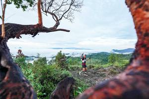 BIB: 
                            <button type="button" onclick="openModal(26372137)" class="btn btn-primary btn-sm float-right btn-popup" data-toggle="modal" data-target=".modal-high-quality">
                        <i class="fas fa-shopping-cart"></i> Add to Cart
                    </button>
                                            <button type="button" onclick="isThisMe(26372137, true)" class="btn btn-success btn-sm float-right btn-popup btn-isme hidden" data-toggle="tooltip" data-placement="bottom" title="นี่คือรูปของคุณใช่ไหม คลิกที่นี่เพื่อเอาเข้าอัลบั้ม">
                        <i class="fas fa-plus"></i> Add to album
                    </button>
                    <button type="button" onclick="isThisMe(26372137, false)" class="btn btn-warning btn-sm float-right btn-popup btn-isnotme hidden">
                        <i class="fas fa-ban"></i> Remove from album
                    </button>